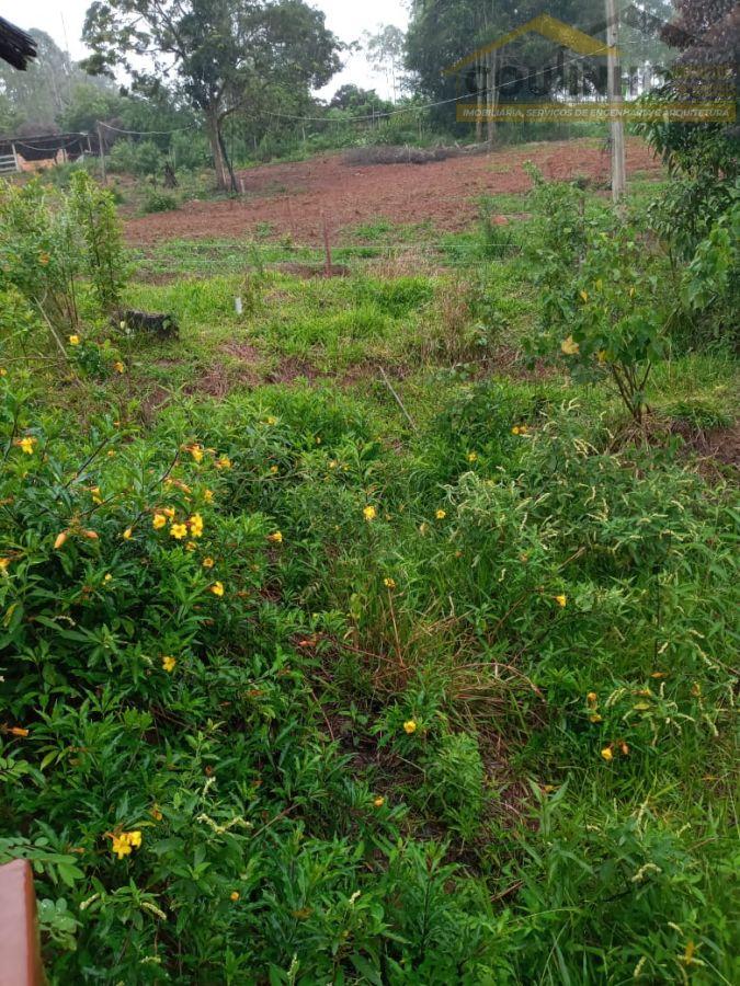 WhatsApp Image 2022-01-07 at 13.42.14.jpeg